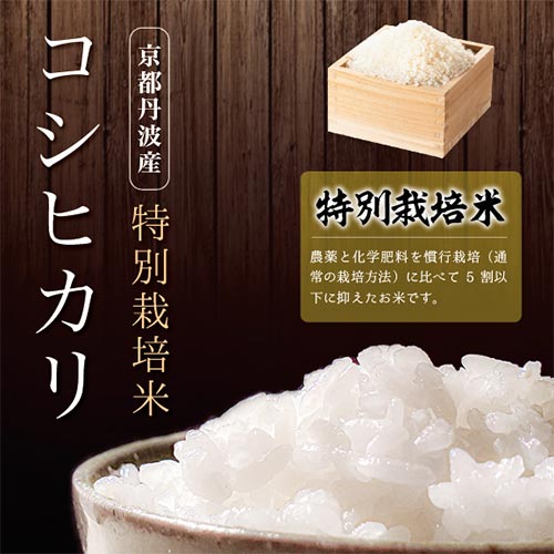 �ڿ��Ƥ�ͽ�����������̺����ƥ����ҥ���2���