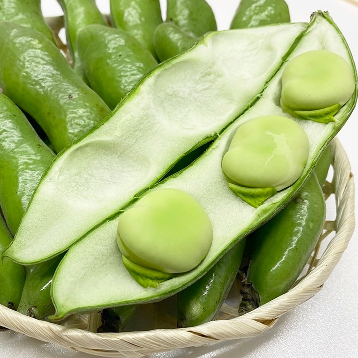 �ڤ�ͽ��������ī�Τ졪��Τꤽ��Ʀ1.5������¢�ء�
