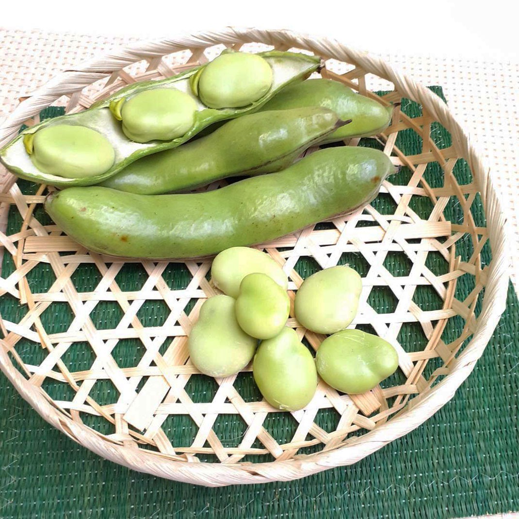 �ڤ�ͽ��������ī�Τ졪��Τꤽ��Ʀ1.5������¢�ء�