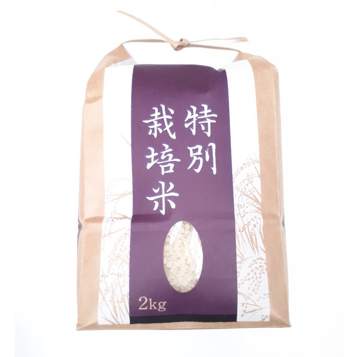 ���̺����ƥ����ҥ���2���