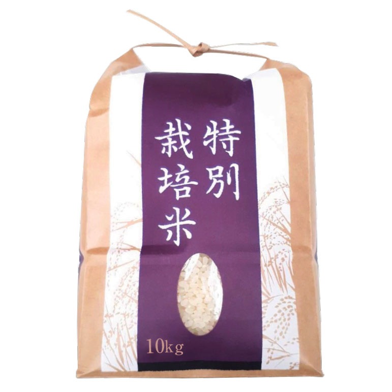 ���̺����ƥ����ҥ���5���