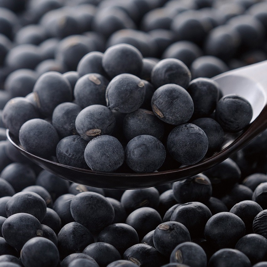 ������7ǯ���۵�ð�Ȥ֤ɤ���Ʀ�������̡ʴ�ʪ��