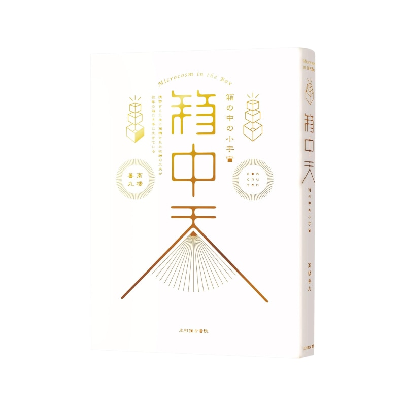 箱中天