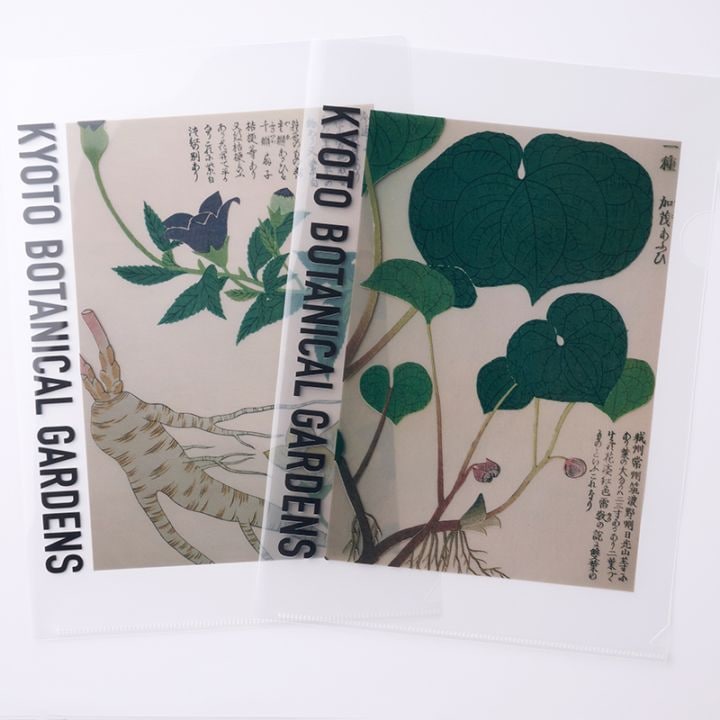京都府立植物園 大森文庫 クリアファイル