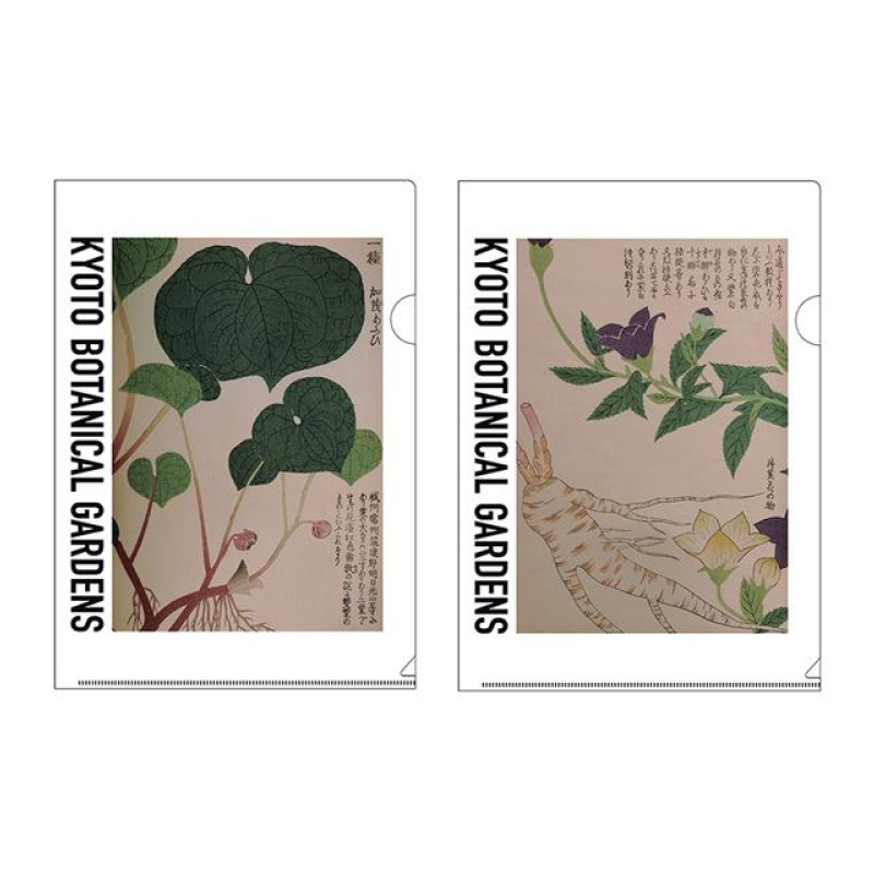 京都府立植物園 大森文庫 クリアファイル | 京都府立植物園グッズ