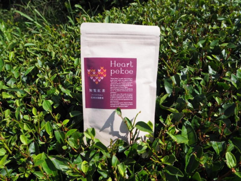 ڤޤȤ㤤ͭGABAȯǥۥäȰ©å