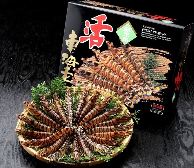 ¡ÚÁ÷ÎÁ¹þ¤ß¡¦´ü´Ö¸ÂÄê¡Û³è¤¼Ö³¤Ï· 220£ç