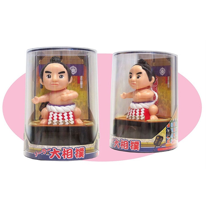 ソーラー 大相撲 311