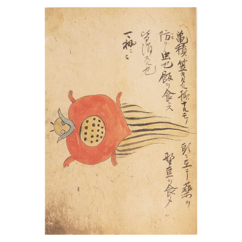 ポストカード　針聞書・亀積