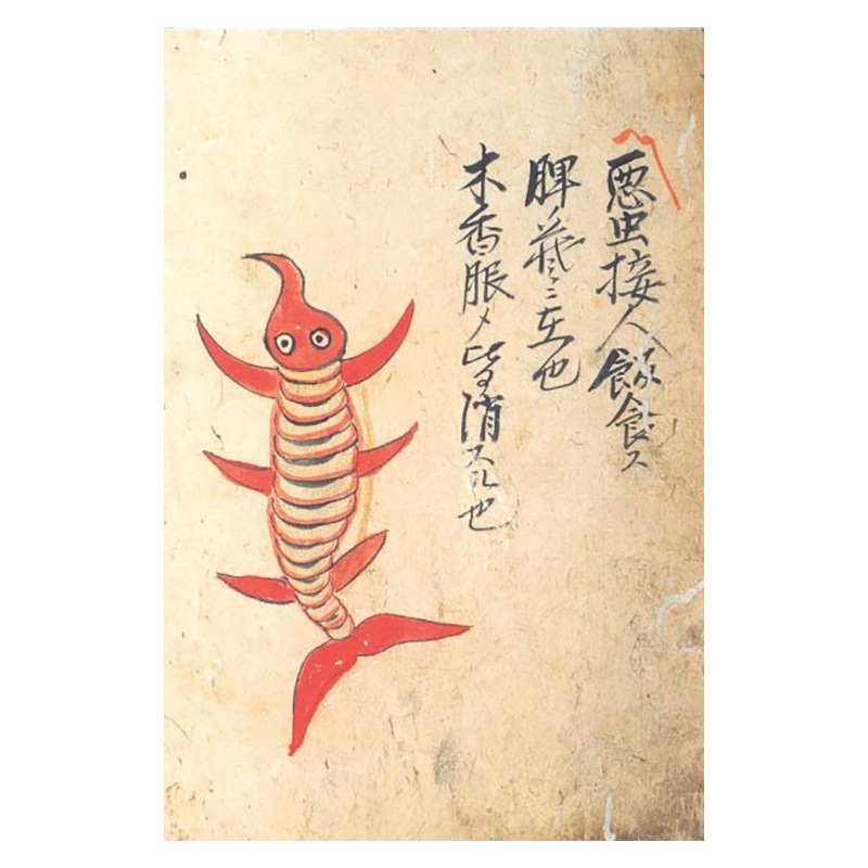 ポストカード　針聞書・脾臓の悪虫