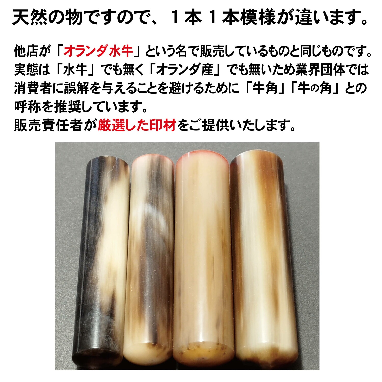 牛角 色付 印鑑 12mm丸 銀行印 認印 ケース付き