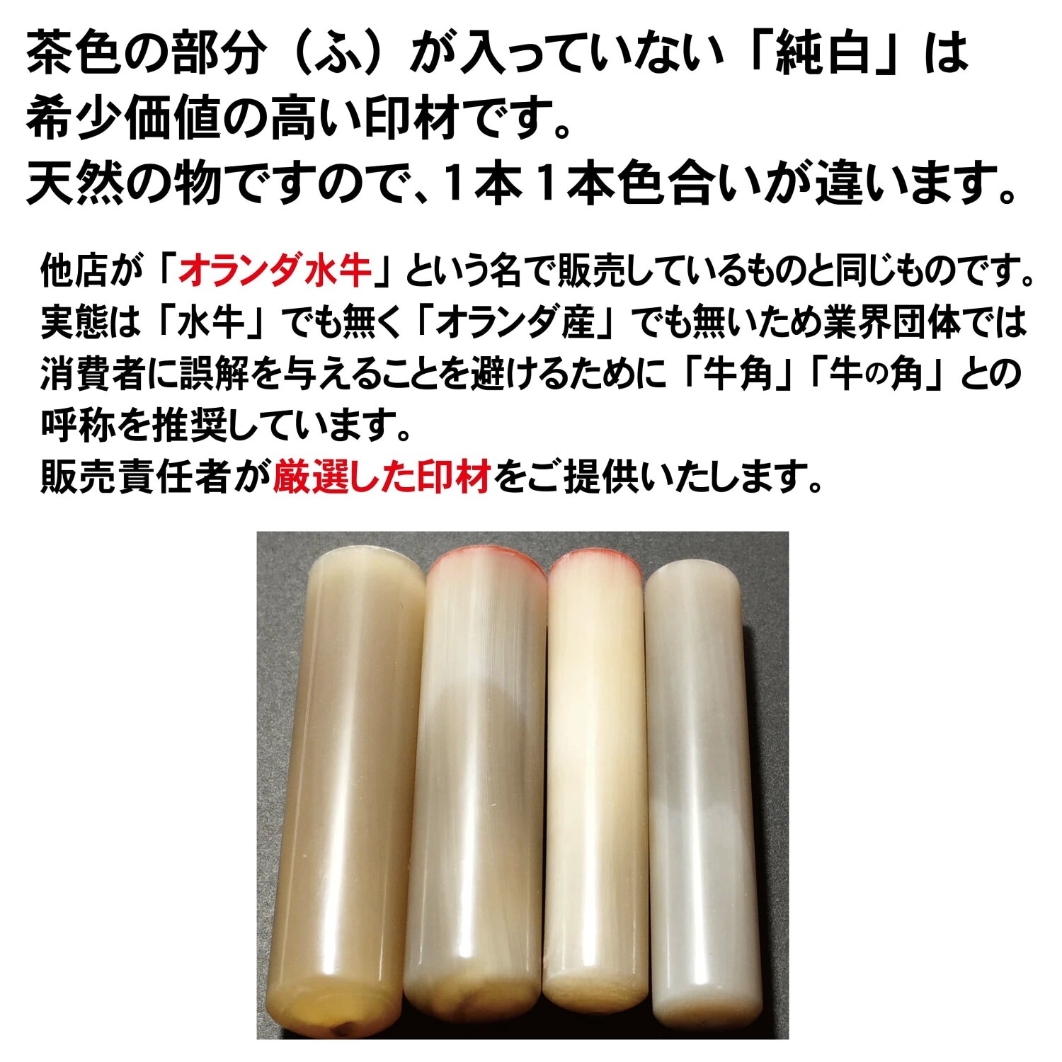 牛角 純白 印鑑 12mm丸 銀行印 認印 ケース付き