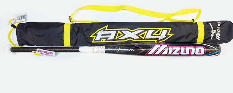 �ߥ��Ρ��ߥ��Υץ���AX4��3�楴��