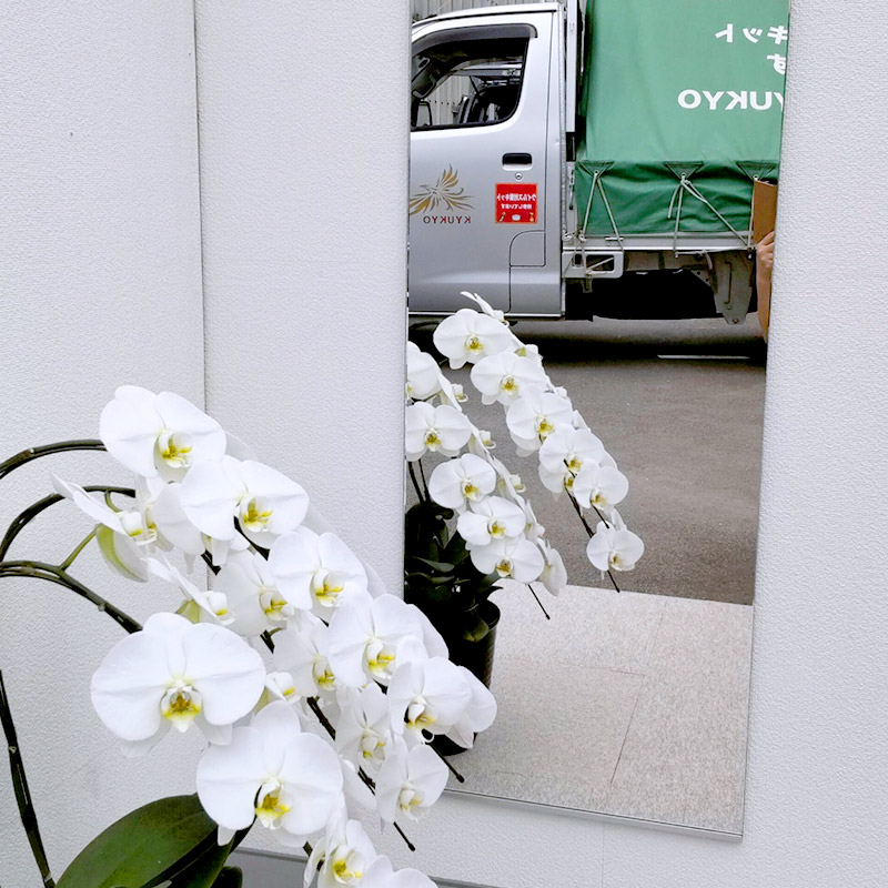 【特別SALE】玄関、トレーニングミラー (次世代ドイツ製) DIYキット付き