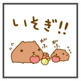 ���ԥХ餵�������������(30��30) ����������