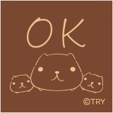 ���ԥХ餵�� �����������(30��30) OK