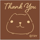 ���ԥХ餵�� �����������(30��30) Thank you