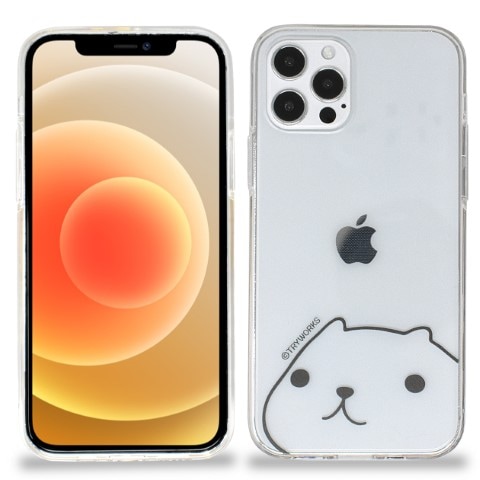 iPhone��������KP�����ꥢ��FACE��BL��15�Ķ�������˽в١�