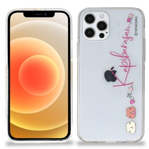 iPhone��������KP�����ꥢ��iPhone��������KP������RD��15�Ķ�������˽в١�