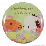 ݥåߥԥХ餵󡡴̥Хåϥ