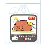 ԥХ餵󡡥Ͽ 14Ķȯ