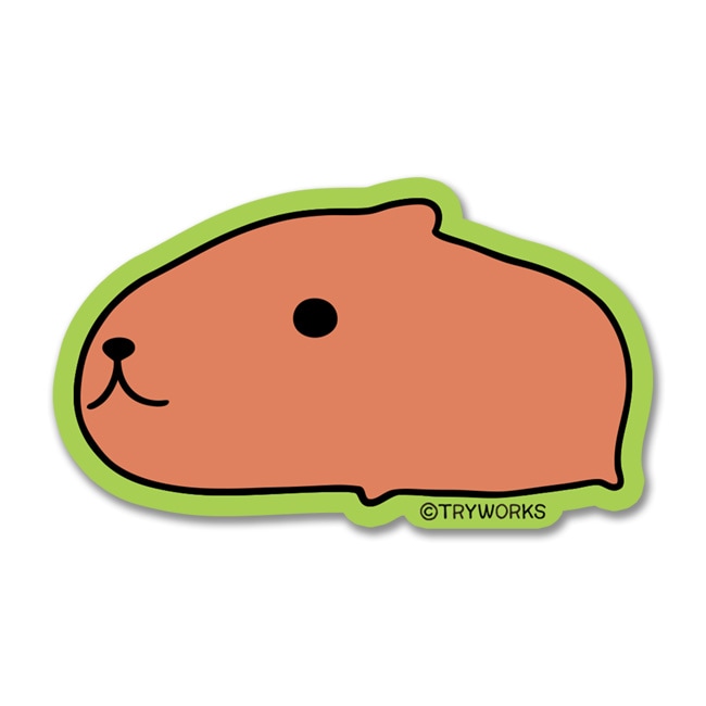 ⭐️カピバラさん⭐️ カピバラさん 公式サイト