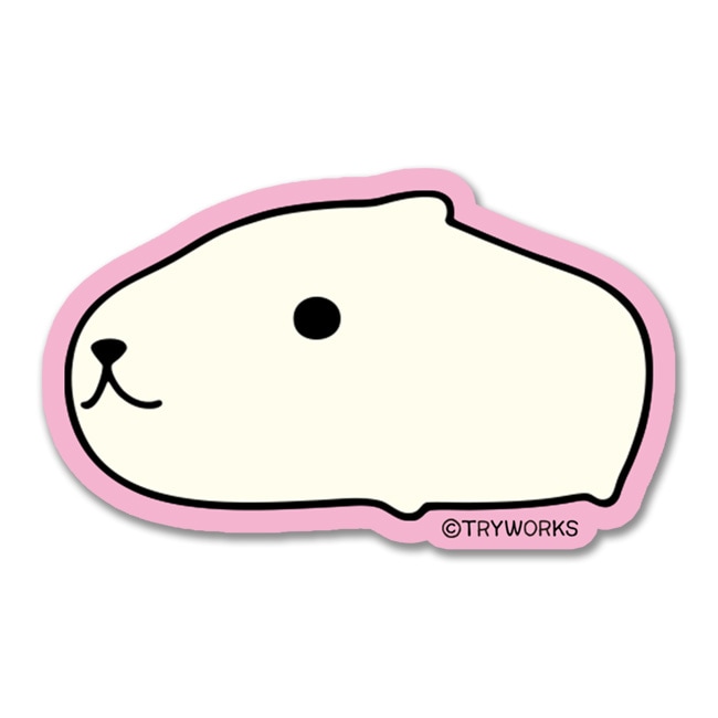 ���ƥå������ۥ磻�Ȥ���