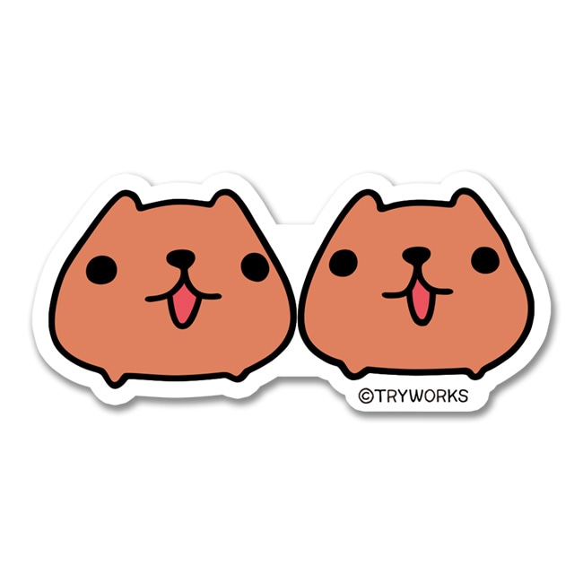 ���ƥå������ƥ���