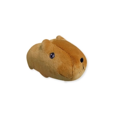 �դ�դ���󥫥ԥХ餵��̤������-S