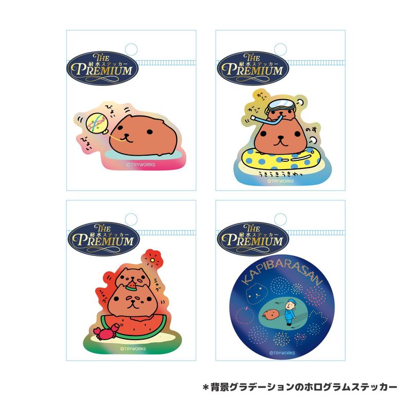 ���ԥХ餵�� �ץ�ߥ����ѿ她�ƥå��� SUMMER