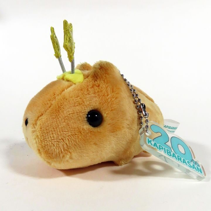 ԥХ餵 20th Anniversaryޥå