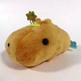 ԥХ餵 20th Anniversary̤