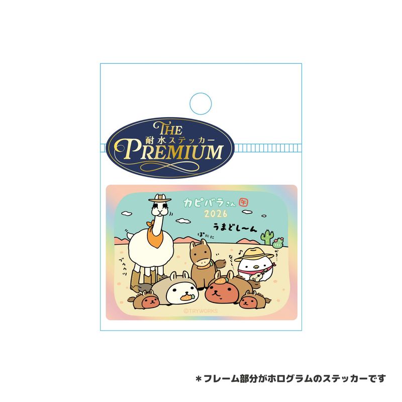 ���ԥХ餵�� �ץ�ߥ����ѿ她�ƥå��������٤���