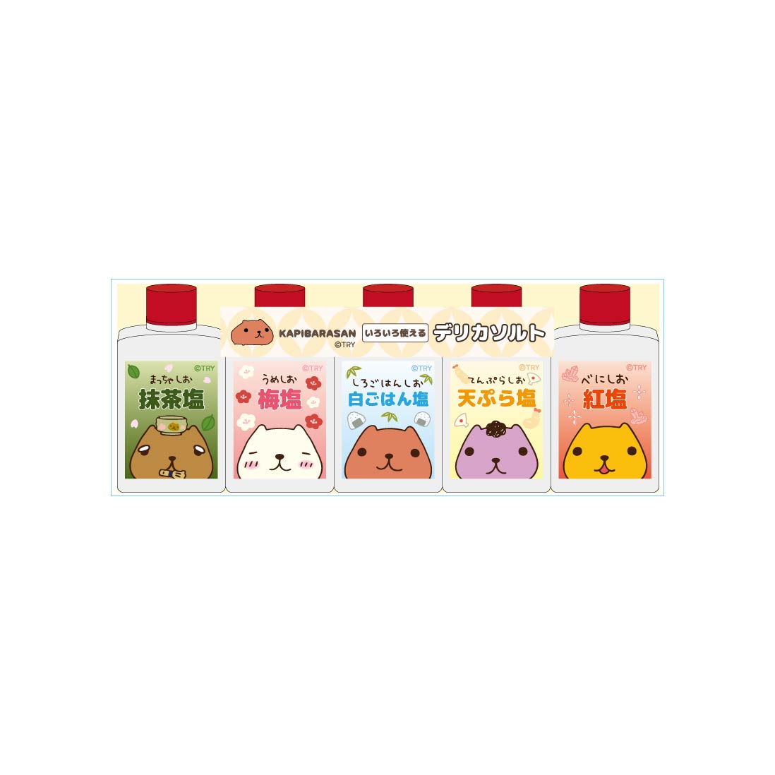カピバラさん デリカソルト5P 塩セット | 雑貨 | | カピバラさん