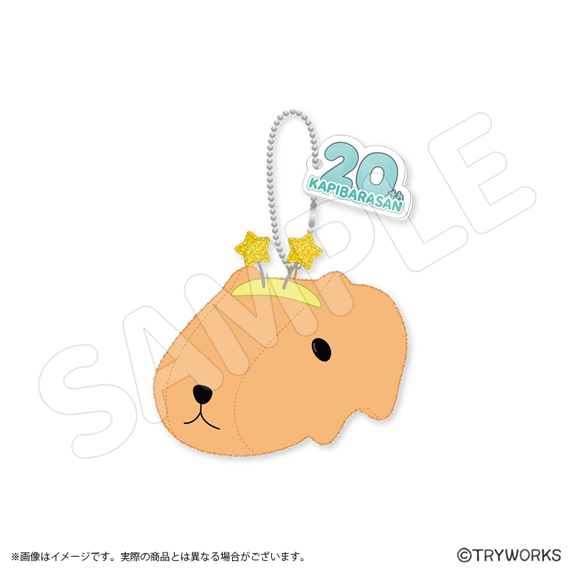 ԥХ餵 20th Anniversaryޥå