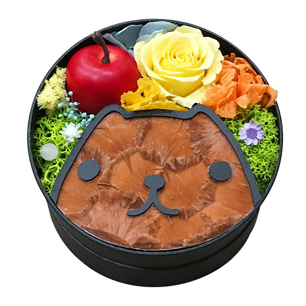 �ڼ��������ۥץꥶ���֥ɥե����ե� ���ԥХ餵��