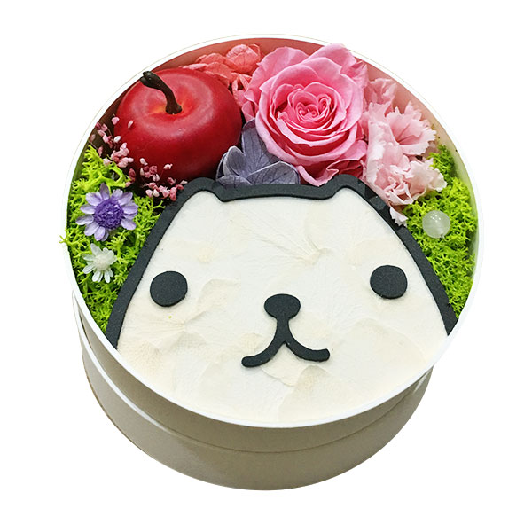 ڼۥץꥶ֥ɥեե ۥ磻Ȥ