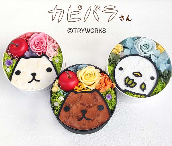 ڼۥץꥶ֥ɥեե ۥ磻Ȥ