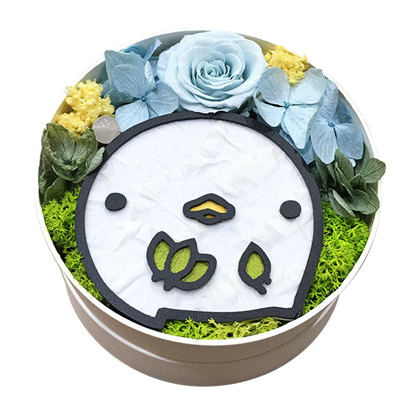 ڼۥץꥶ֥ɥեե ʤޤΤ