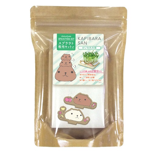 カピバラさん スプラウト栽培キット かいわれ大根 | 雑貨,雑貨その他