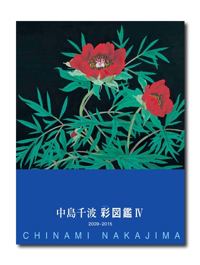 �������ȡ��̿޴խ���2009��2015