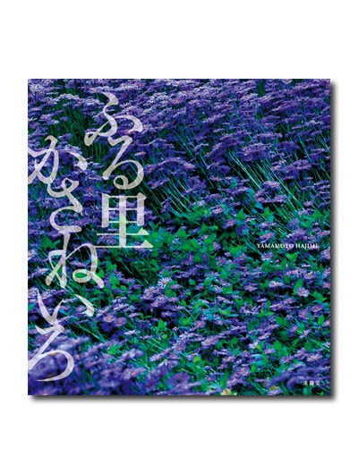 日本の色 写真集 講談社 日本の色 写真集 講談社 Amazon.co.jp: 日本の色 (コロナ・ブックス