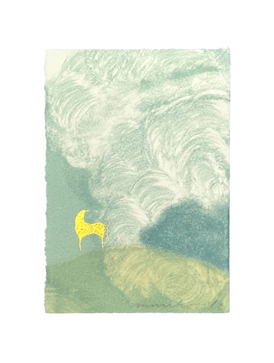 特装版 】いつかの森 平澤まりこ作品集｜求龍堂