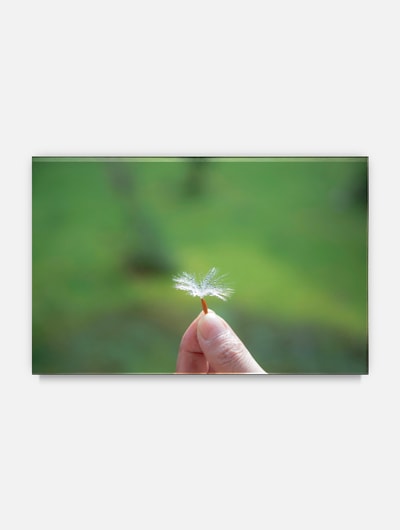 �����ѻҡ�̵�� �ʥ��꡼���֤Ϥ��ޤ�Τҡפ���