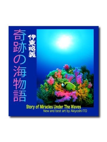 ���פγ�ʪ�졡���쾼��