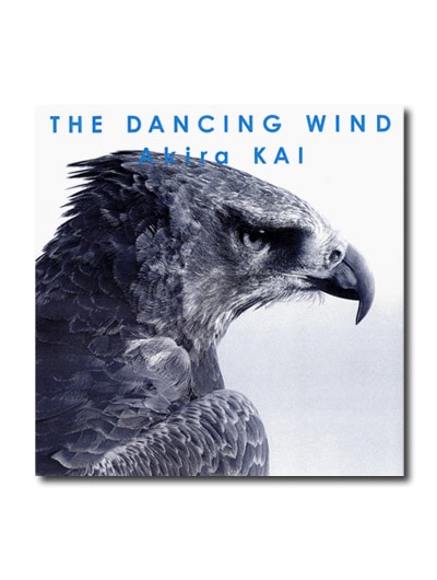  󥷥 ɡTHE DANCING WIND