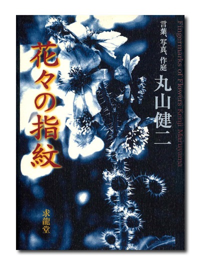 丸山健二 花々の指紋｜求龍堂