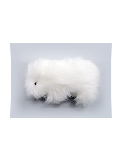 �ڲ��α����̤������ �ʻҸ������