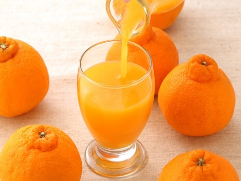 ܡʡץǥݥޤ뤷ܤꥸ塼