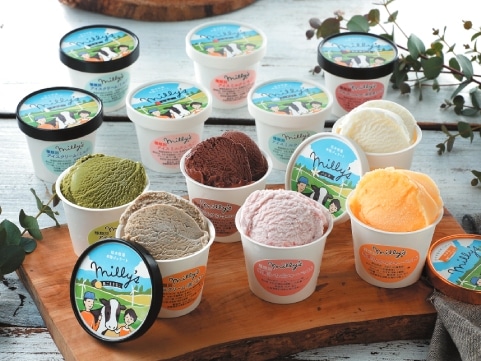 keiさん専用　アイスウェーブ2セット 佐賀「松本牧場 アイス工房ミリーズ」本格ジェラート12個セット | 佐賀